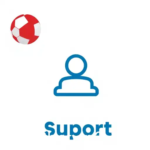 Explorando a Categoria 'Suporte' no 1928 Bet VIP